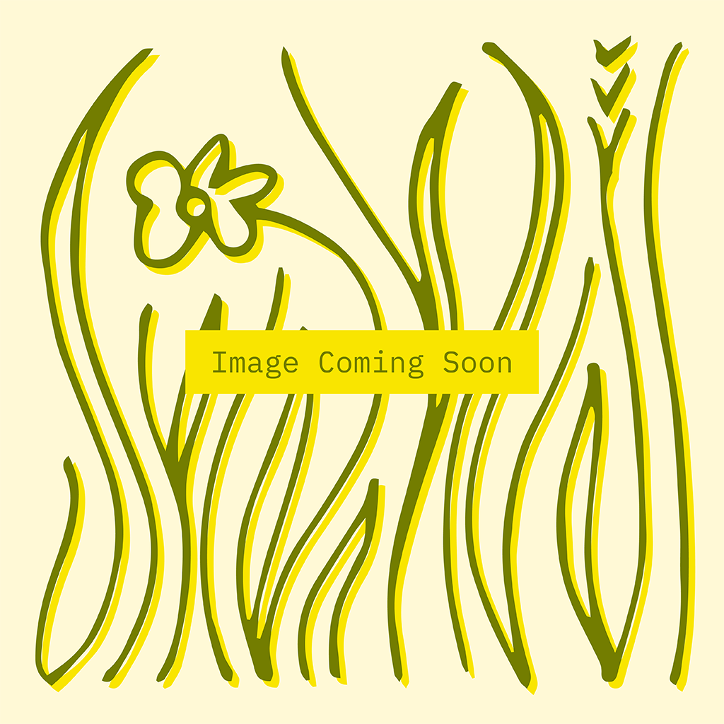 An item image placeholder