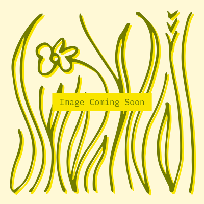 An item image placeholder